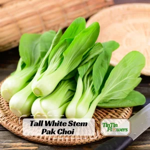 Tall White Stem Hybrid Pak Choi Seeds - 20 Count - Crisp Asian Leafy Vegetable - Image 1