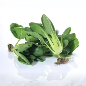 Tall White Stem Hybrid Pak Choi Seeds - 20 Count - Crisp Asian Leafy Vegetable - Image 9