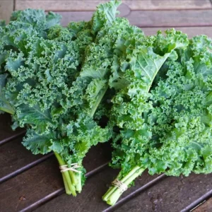 Vates Blue Scotch Curled Kale Seeds - Heirloom Vegetable Seeds for Garden - Image 10