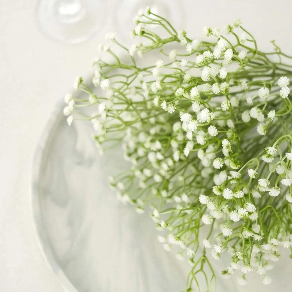 White Baby's Breath Seeds - Gypsophila fastigiata - Heirloom - 30 Seed Pack - Image 13
