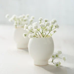 White Baby's Breath Seeds - Gypsophila fastigiata - Heirloom - 30 Seed Pack - Image 4