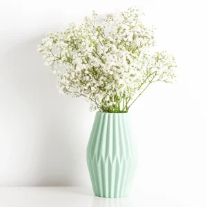 White Baby's Breath Seeds - Gypsophila fastigiata - Heirloom - 30 Seed Pack - Image 5