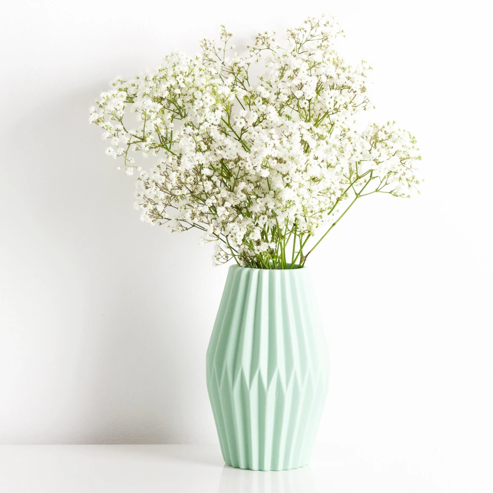 White Baby's Breath Seeds - Gypsophila fastigiata - Heirloom - 30 Seed Pack - Image 5