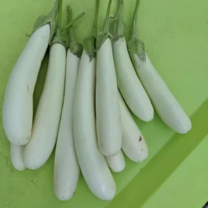 White Comet Eggplant Seeds - Heirloom White Aubergine - 30 Seeds - Image 7
