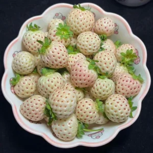 White Strawberry Seeds – Pineberry Alpine Fragaria, Heirloom Non-GMO, 35 Seeds - Image 16