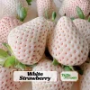 White Strawberry Seeds – Pineberry Alpine Fragaria, Heirloom Non-GMO, 35 Seeds - Image 1