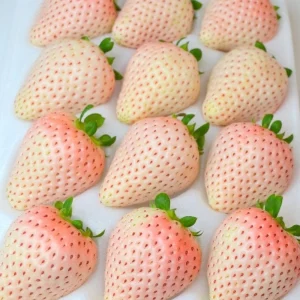 White Strawberry Seeds – Pineberry Alpine Fragaria, Heirloom Non-GMO, 35 Seeds - Image 5