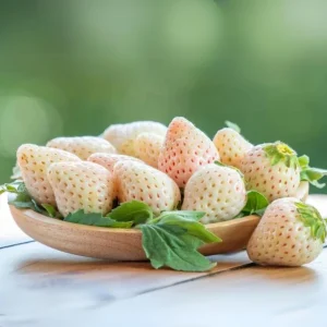White Strawberry Seeds – Pineberry Alpine Fragaria, Heirloom Non-GMO, 35 Seeds - Image 6