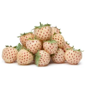 White Strawberry Seeds – Pineberry Alpine Fragaria, Heirloom Non-GMO, 35 Seeds - Image 9