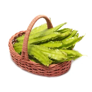 Winged Bean Seeds - 10 Count Pack - Fast Growing Tropical Vegetable - Image 4