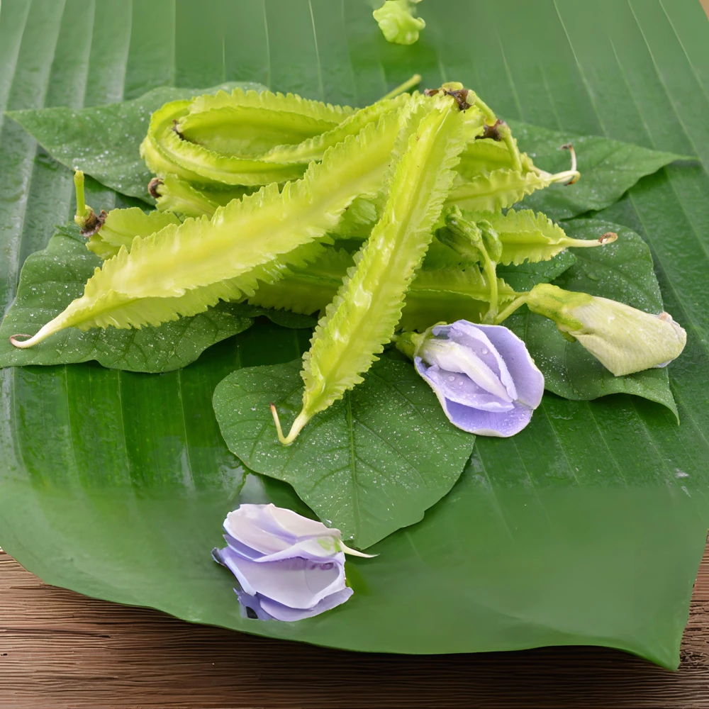 Winged Bean Seeds - 10 Count Pack - Fast Growing Tropical Vegetable - Image 7