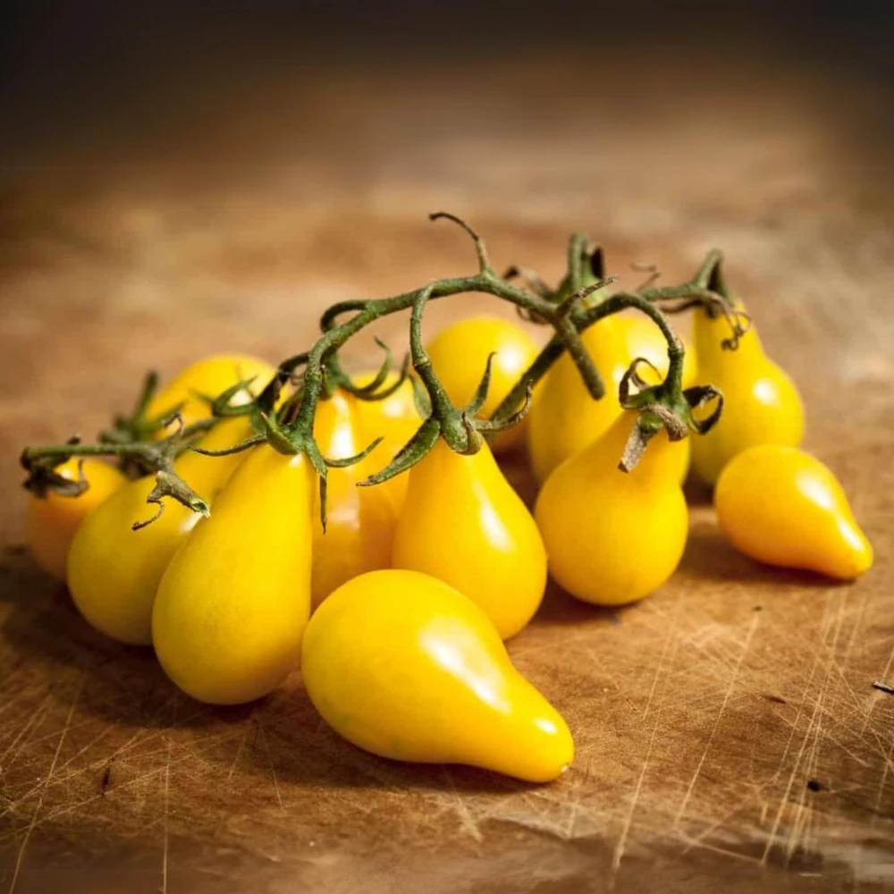 Yellow Pear Tomato Seeds - Heirloom Non-GMO, 30 Seeds, Sweet Cherry Variety - Image 7