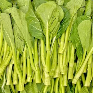 Yu Choy Sum Seeds - Heirloom Asian Greens - Fast Growing Vegetable Seeds - 20 Seeds - Image 13
