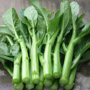 Yu Choy Sum Seeds - Heirloom Asian Greens - Fast Growing Vegetable Seeds - 20 Seeds - Image 16