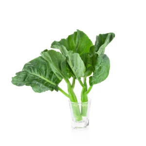 Yu Choy Sum Seeds - Heirloom Asian Greens - Fast Growing Vegetable Seeds - 20 Seeds - Image 5