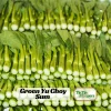 Yu Choy Sum Seeds - Heirloom Asian Greens - Fast Growing Vegetable Seeds - 20 Seeds - Image 1