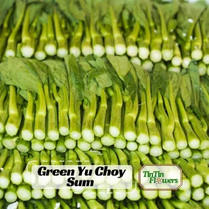 Yu Choy Sum Seeds - Heirloom Asian Greens - Fast Growing Vegetable Seeds - 20 Seeds - Image 1
