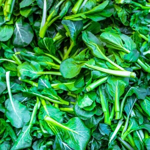 Yu Choy Sum Seeds - Heirloom Asian Greens - Fast Growing Vegetable Seeds - 20 Seeds - Image 8
